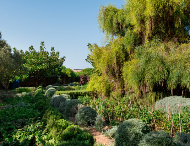 Lagoon Lodge, Oualidia, Morocco. Photo by Alan Keohane www.alankeohane.com