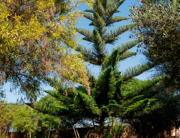 Lagoon Lodge, Oualidia, Morocco. Photo by Alan Keohane www.alankeohane.com